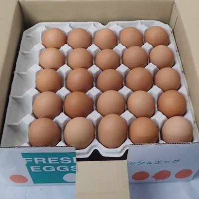 卵かけ御飯に最適な小谷養鶏場の『能勢おうはん』の地玉子はここがスゴい！